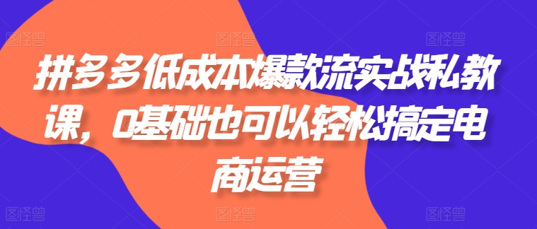 拼多多低成本爆款流实战私教课，0基础也可以轻松搞定电商运营 - 副业心选-副业心选