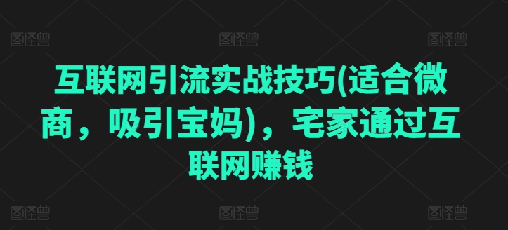 互联网引流实战技巧(适合微商，吸引宝妈)，宅家通过互联网赚钱 - 副业心选-副业心选