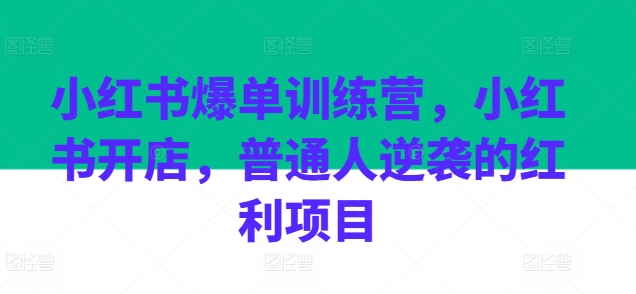 小红书爆单训练营，小红书开店，普通人逆袭的红利项目 - 副业心选-副业心选
