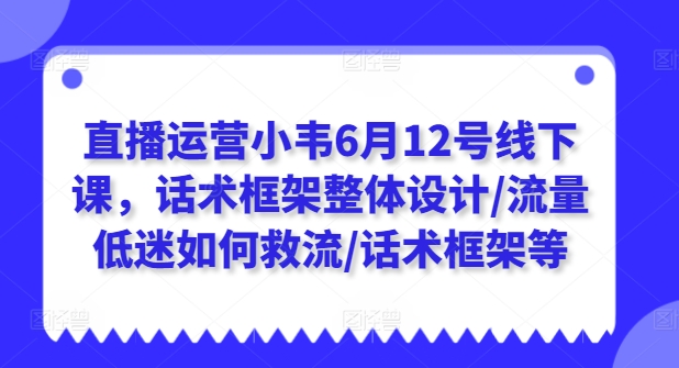直播运营小韦6月12号线下课，话术框架整体设计/流量低迷如何救流/话术框架等-副业心选
