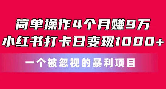 简单操作4个月赚9w，小红书打卡日变现1k，一个被忽视的暴力项目【揭秘】 - 副业心选-副业心选