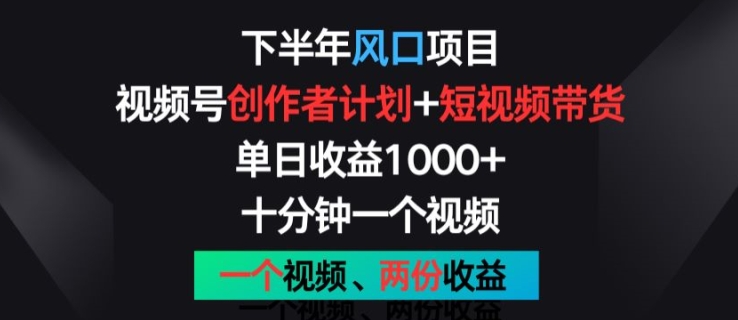 下半年风口项目，视频号创作者计划+视频带货，一个视频两份收益，十分钟一个视频【揭秘】 - 副业心选-副业心选