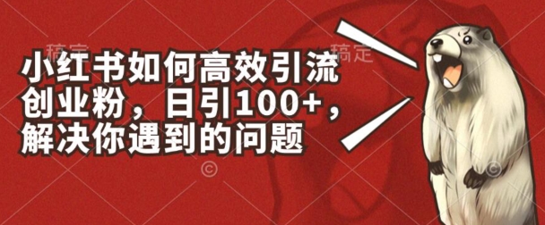 小红书如何高效引流创业粉，日引100+，解决你遇到的问题【揭秘】-副业心选