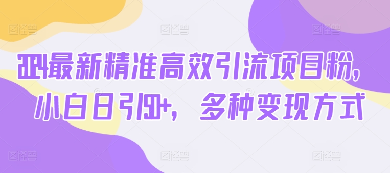 2024最新精准高效引流项目粉，小白日引50+，多种变现方式 - 副业心选-副业心选