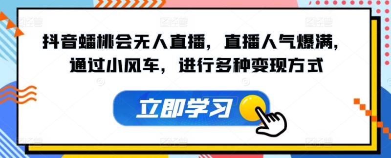 抖音蟠桃会无人直播，直播人气爆满，通过小风车，进行多种变现方式 - 副业心选-副业心选