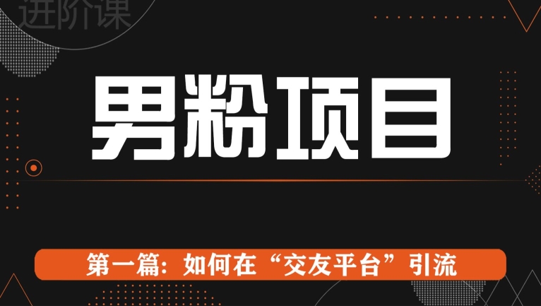 男粉项目系列课程第一篇: Soul暴力引流 - 副业心选-副业心选
