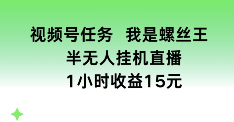 视频号任务，我是螺丝王， 半无人挂机1小时收益15元【揭秘】 - 副业心选-副业心选
