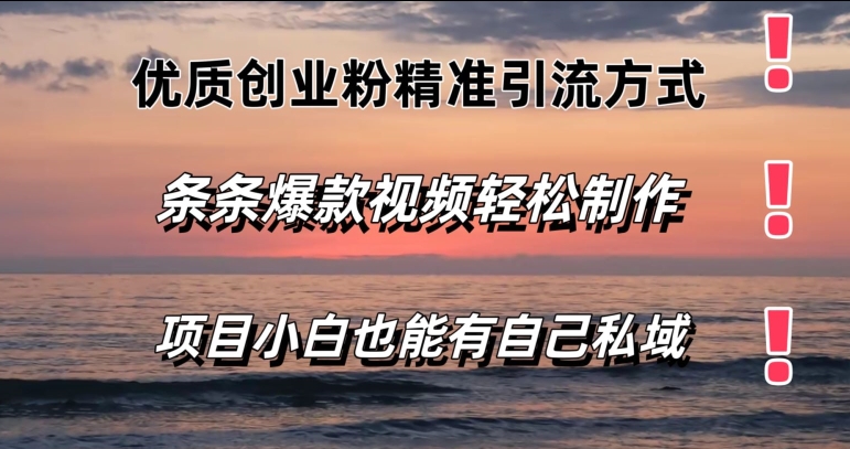 优质创业粉精准引流方式，条条视频爆款，小白也能轻松拥有自己的私域 - 副业心选-副业心选