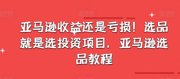 亚马逊收益还是亏损！选品就是选投资项目，亚马逊选品教程-副业心选