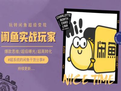 手把手教你0到1系统玩转闲鱼变现，爆款思维/超级曝光/超高转化 - 副业心选-副业心选
