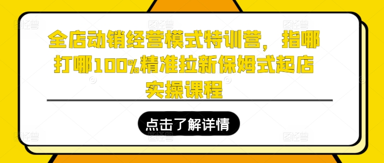 全店动销经营模式特训营，指哪打哪100%精准拉新保姆式起店实操课程 - 副业心选-副业心选