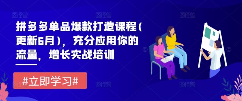 拼多多单品爆款打造课程(更新6月)，充分应用你的流量，增长实战培训 - 副业心选-副业心选