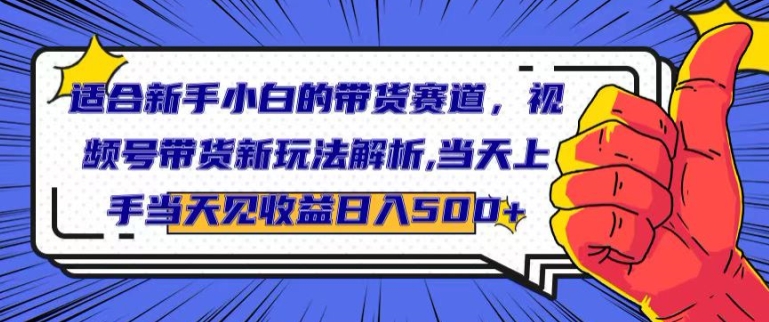 适合新手小白的带货赛道，视频号带货新玩法解析，当天上手当天见收益，日入500+ - 副业心选-副业心选