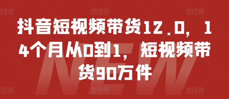 抖音短视频带货12.0，14个月从0到1，短视频带货90万件-副业心选