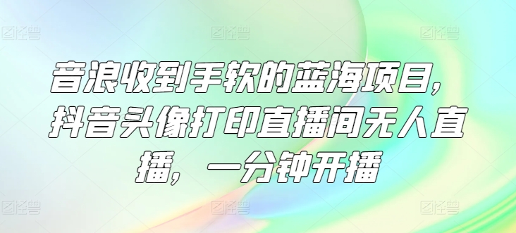 音浪收到手软的蓝海项目，抖音头像打印直播间无人直播，一分钟开播 - 副业心选-副业心选