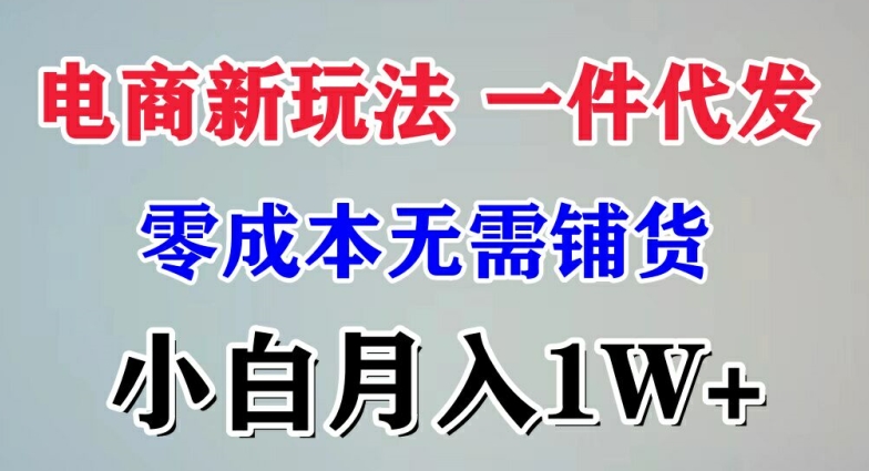 电商新玩法 一件代发,零成本无需铺货，小白月入1W+-副业心选