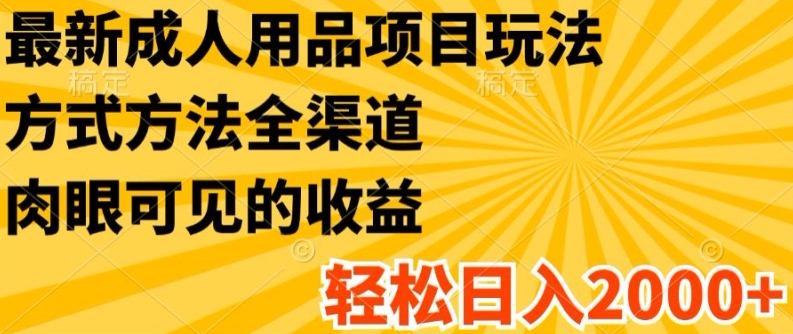 最新成人用品项目玩法，方式方法全渠道，轻松日入2K+【揭秘】-副业心选