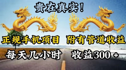 正规手机项目，附有丰富的管道收益，每天几小时，收益300-副业心选