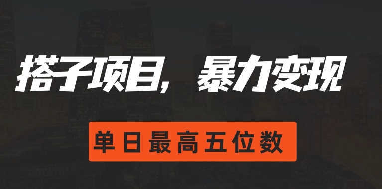 搭子项目，暴力变现，单日最高破五位数 - 副业心选-副业心选
