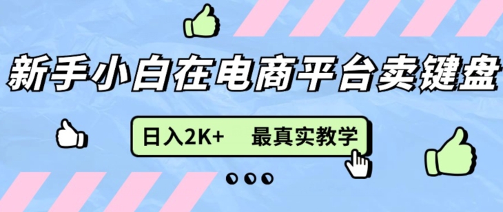 最新无货源0成本电商，新手小白可做，后端扶持拉满，细致教学-副业心选