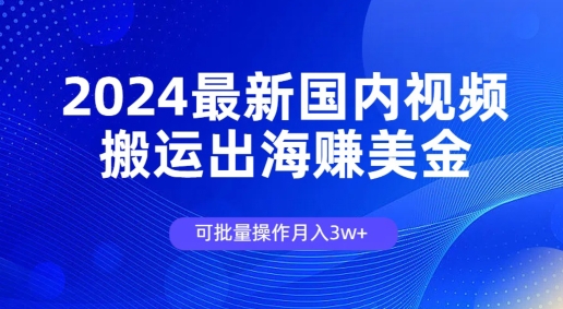 2024最新国内视频搬运出海赚美金，可批量操作月入3w - 副业心选-副业心选