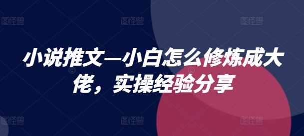 小说推文—小白怎么修炼成大佬，实操经验分享 - 副业心选-副业心选