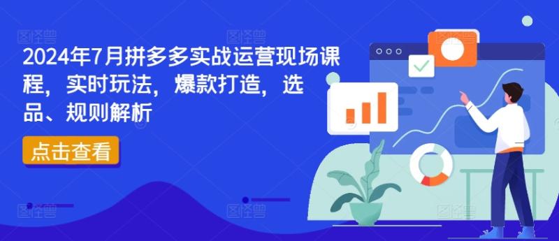 2024年7月拼多多实战运营现场课程，实时玩法，爆款打造，选品、规则解析 - 副业心选-副业心选