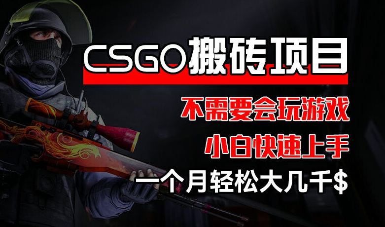 CSGO 装备搬砖项目，操作简单，不需要会玩游戏，小白也能快速上手，一个月轻松大几千【揭秘】-副业心选