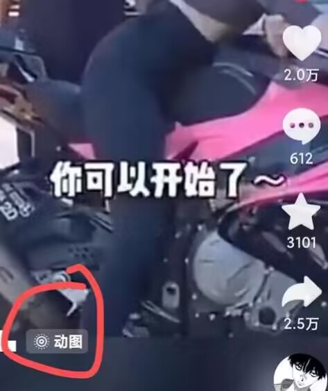 图片[2]-2024年7月苹果手机动图搬运技术 - 副业心选-副业心选