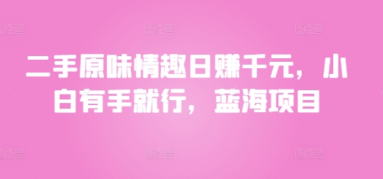 二手原味情趣日赚千元，小白有手就行，蓝海项目 - 副业心选-副业心选