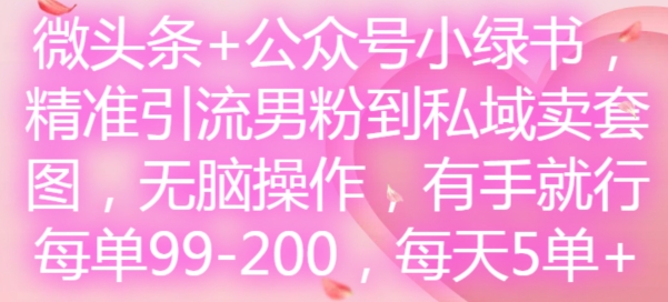 微头条+公众号小绿书，精准引流男粉到私域卖套图，无脑操作，有手就行，每单99-200，每天5单 - 副业心选-副业心选