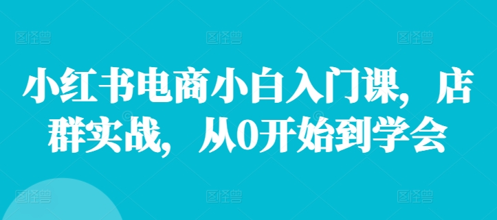 小红书电商小白入门课，店群实战，从0开始到学会 - 副业心选-副业心选