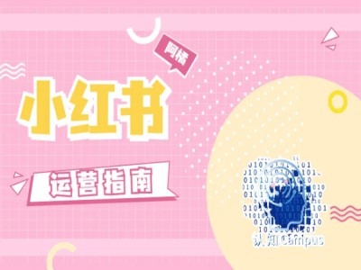 小红书运营指南，没有套路，全是经验 - 副业心选-副业心选