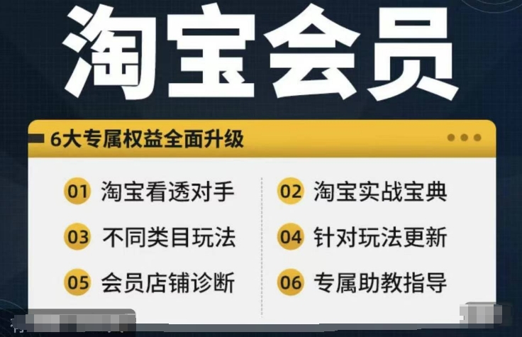 淘宝会员【淘宝所有课程，全面分析对手】，初级到高手全系实战宝典 - 副业心选-副业心选