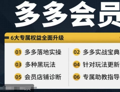 拼多多会员，拼多多实战宝典+实战落地实操，从新手到高阶内容全面覆盖 - 副业心选-副业心选