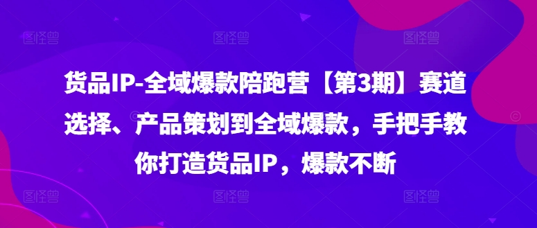 货品IP全域爆款陪跑营【第3期】赛道选择、产品策划到全域爆款，手把手教你打造货品IP，爆款不断-副业心选