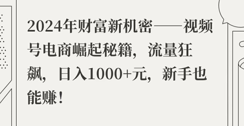 2024年财富新机密——视频号电商崛起秘籍，流量狂飙，日入1k元，新手也能赚 - 副业心选-副业心选