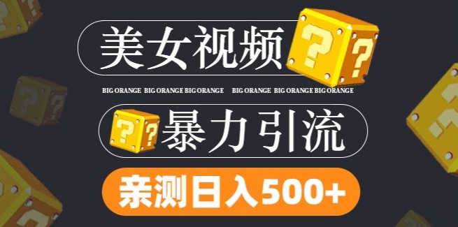 搬运tk美女视频全网分发，日引s粉300+，轻松变现，不限流量不封号【揭秘】 - 副业心选-副业心选