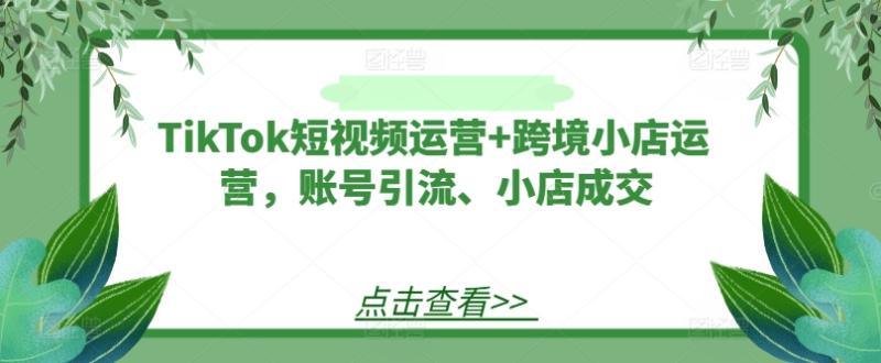 TikTok短视频运营+跨境小店运营，账号引流、小店成交 - 副业心选-副业心选