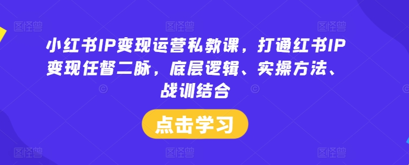 小红书IP变现运营私教课，打通红书IP变现任督二脉，底层逻辑、实操方法、战训结合 - 副业心选-副业心选