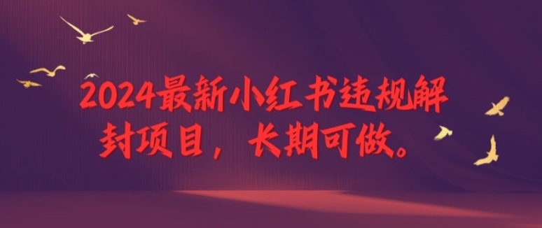 2024最新小红书违规解封项目，长期可做，一个可以做到退休的项目【揭秘】-副业心选