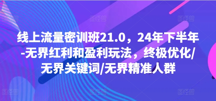 线上流量密训班21.0，24年下半年-无界红利和盈利玩法，终极优化/无界关键词/无界精准人群-副业心选