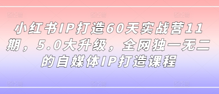 小红书IP打造60天实战营11期，5.0大升级，全网独一无二的自媒体IP打造课程 - 副业心选-副业心选