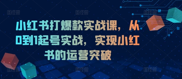 小红书打爆款实战课，从0到1起号实战，实现小红书的运营突破 - 副业心选-副业心选