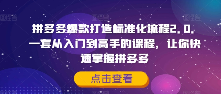 拼多多爆款打造标准化流程2.0，一套从入门到高手的课程，让你快速掌握拼多多 - 副业心选-副业心选