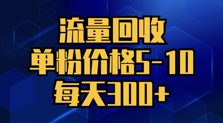 流量回收，单粉价格5-10，每天300+，轻松月入五位数-副业心选