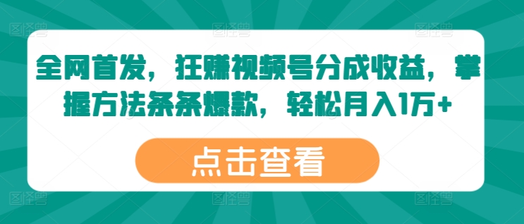 全网首发，狂赚视频号分成收益，掌握方法条条爆款，轻松月入1万+ - 副业心选-副业心选