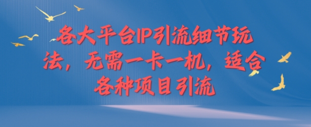 各大平台IP引流细节玩法，无需一卡一机，适合各种项目引流 - 副业心选-副业心选