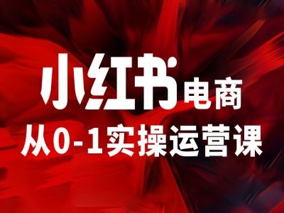 小红书电商从0-1实操运营课，让你从小白到精英 - 副业心选-副业心选