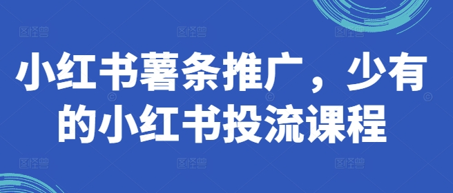 小红书薯条推广，少有的小红书投流课程 - 副业心选-副业心选